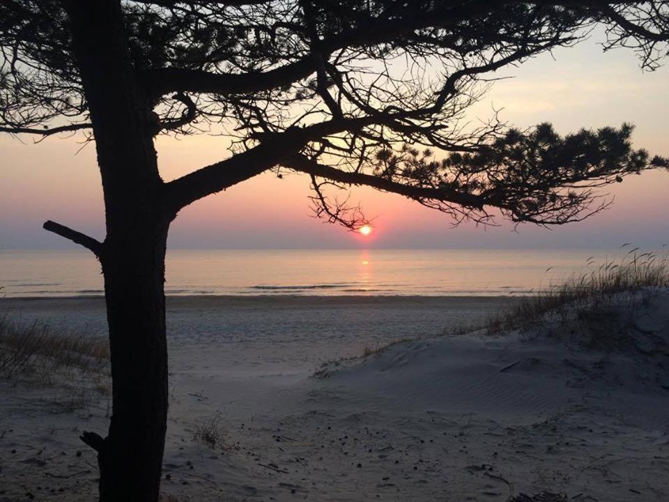 Palangos Sveciu Namai Hotel Palanga Luaran gambar